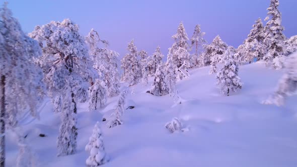 Aerial view of a forest in winter in Overtornea, Sweden.