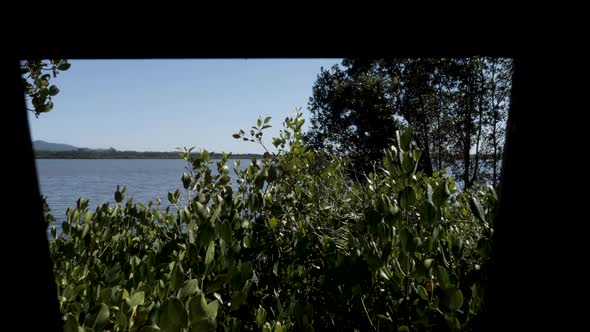 Unique view entering inside a dark bird watching hut revealing a large conservation area viewed thro