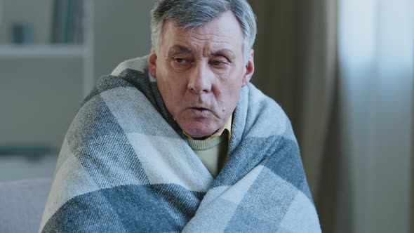 Sick Caucasian Man Old Grandfather Suffering From Fever Elderly Male at Home Wrapped Warm Blanket