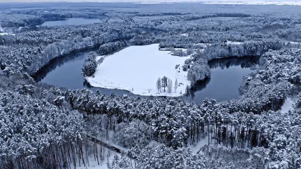 River and snowy forest in winter. Aerial view of wildlife