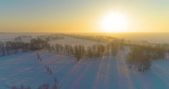 Aerial Drone View of Cold Winter Landscape with Arctic Field Trees Covered with Frost Snow and