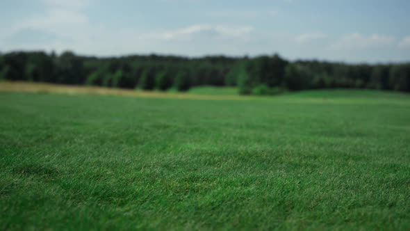 Green Golf Course Grass Growing on Fairway Field