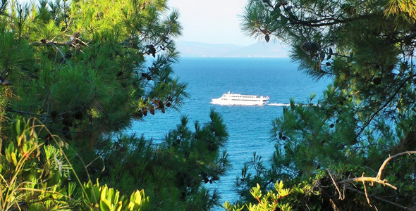 The Ship and Pine Trees