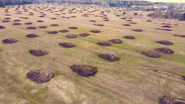 Smooth Heaps of Manure on a Farm Sowing Field Aerial View