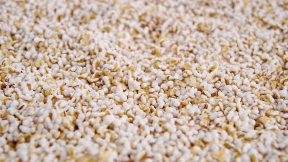 Amaranth popped grains. Amaranthus puffy seeds. Gluten free. Macro