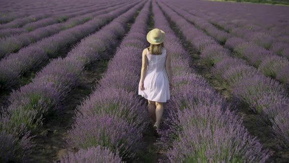 Lavender Field in France Provence View From the Back One Woman in a Light Summer Dress and a Yellow