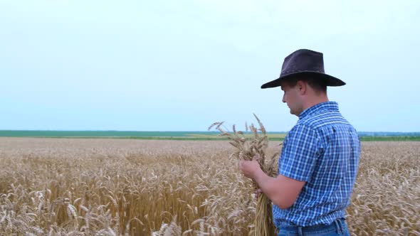 A Rural Farmer Walks Across a Wheat Field Holding Ears of Corn