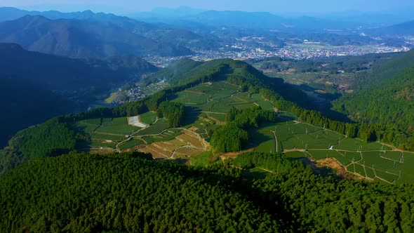 Ureshino Tea Farm Aerial Two