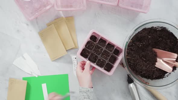 Flat lay. Planting seeds in seed propagator with soil