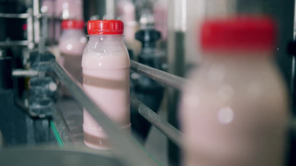 Metal Conveyor Transports Yogurt Bottles