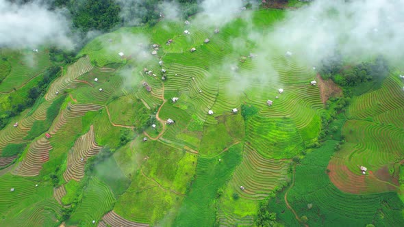 Drone flying over fields in Pa pong piang rice terraces