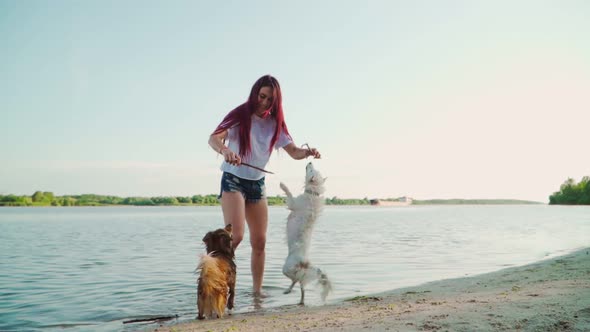Young Beautiful Woman is Playing with Dog on a Lake in the Water.