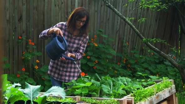 Mature woman watering plants in the garden 