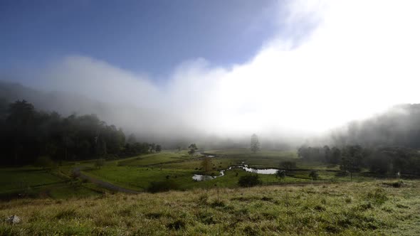 Time-lapse of foggy clouds clearing away to reveal a cow far in a idyllic valley