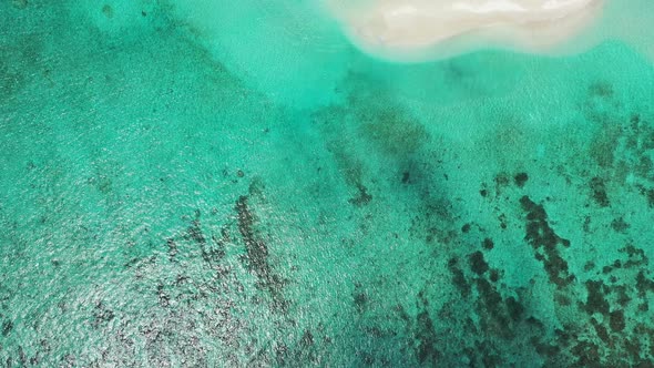 Tropical above island view of a paradise sunny white sand beach and turquoise sea background in best