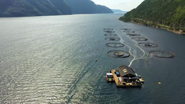 Aerial Footage Farm Salmon Fishing in Norway