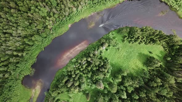 Aerial Drone View Flight Over Pine Tree Forest