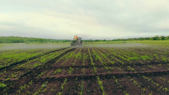 Aerial View Farm Machinery Spraying Insecticide To the Green Field, Agricultural Natural Seasonal