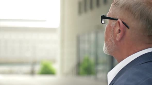 Portrait of an Elderly Man with a Gray Beard in a Business Suit Looking Into the Distance