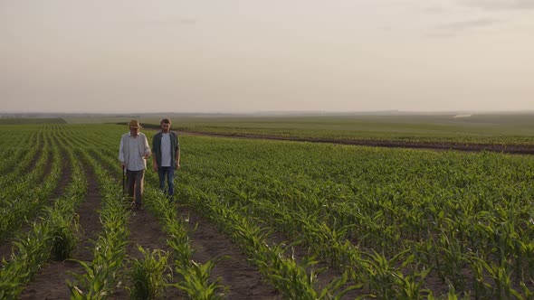 Front Side View of Young and Old Farmers on the Corn Field