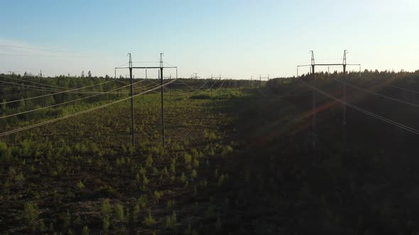 Powerlines and Towers in the Forest