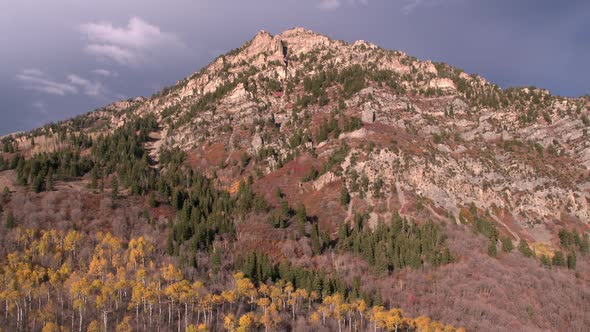 Aerial view of a colorful forest in the mountains during the fall.