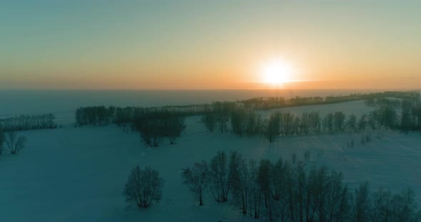 Aerial Drone View of Cold Winter Landscape with Arctic Field Trees Covered with Frost Snow and