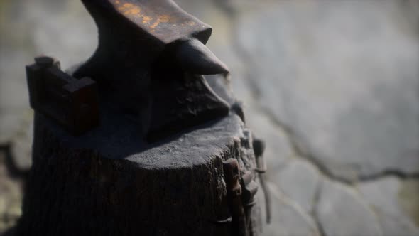 Old Anvil Attached To a Stump