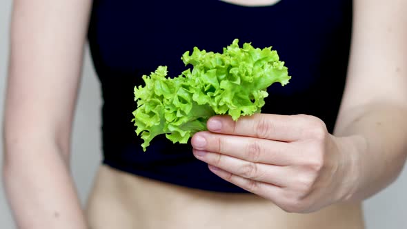 weight loss and healthy nutrition concept. fit woman is holding in hand green lettuce salad leaves. 