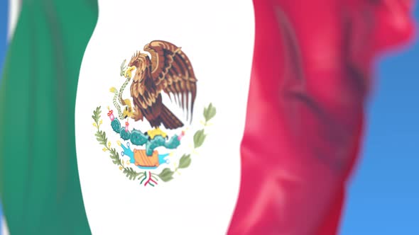 Flying National Flag of Mexico