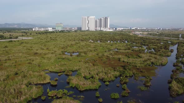 Aerial view peatlands of Batu Kawan