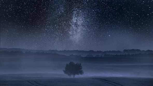 Milky way over one tree on field, timelapse