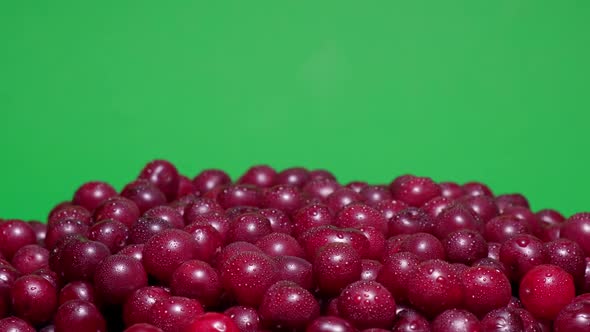 Rotated Organic Red Cherries with Water Drops Isolated on Green Screen Chroma Key Background