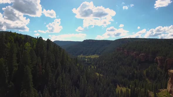 AERIAL: Drone shot pushing towards a deep valley filled with evergreen trees.