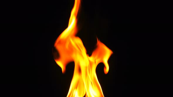 Fire Burning Heat Flame On Black Background