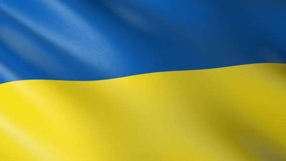 Flag of The Ukraine