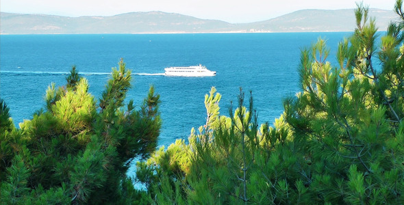 Ship and Pine Cone Trees