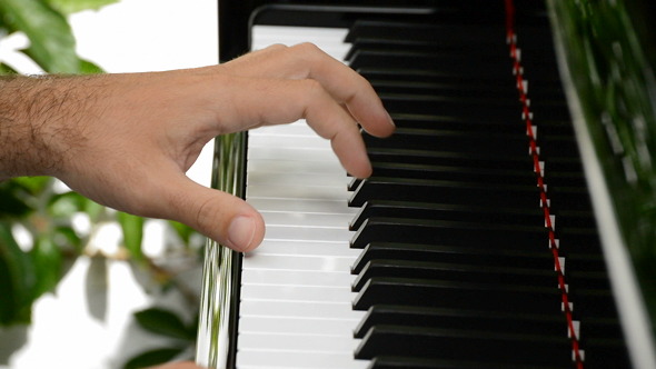 Musician Hands Playing the Piano