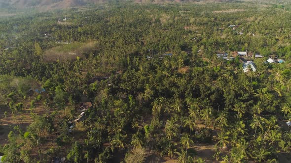 Agricultural Land in Indonesia