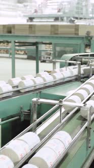 Conveyor in a Paper Mill