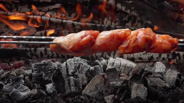 Raw Chicken Wings are Placed Above the Coals on the Background of an Open Fire