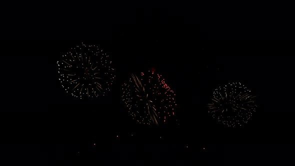Many flashing colorful fireworks in event amazing with black background celebrate New Year.