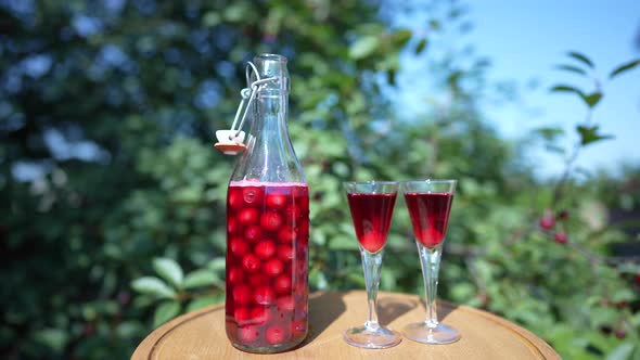 Homemade cherry brandy in two glasses and in a glass bottle in summer garden