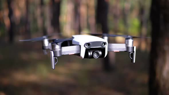 Drone with a Camera Hovers in the Air Above the Ground in the Forest. Slow Motion.