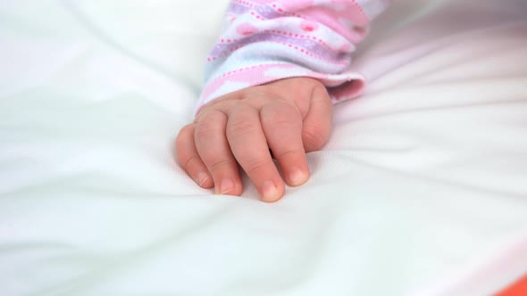 Small Delicate Hand of Newborn