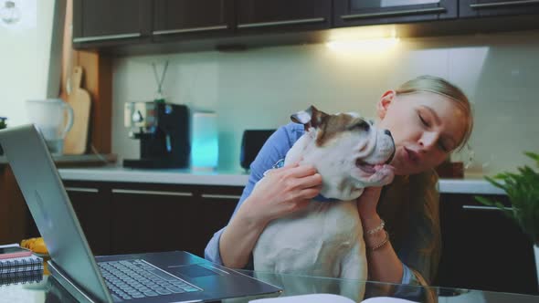 Happy Blonde Woman Scratching the Neck of Bulldog Puppy Sitting in Front of Laptop in the Kitchen