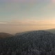 Drone video of winter forest at sunset - VideoHive Item for Sale