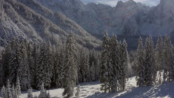 Winter landscape in the Italian Alps, Friuli Venezia Giulia