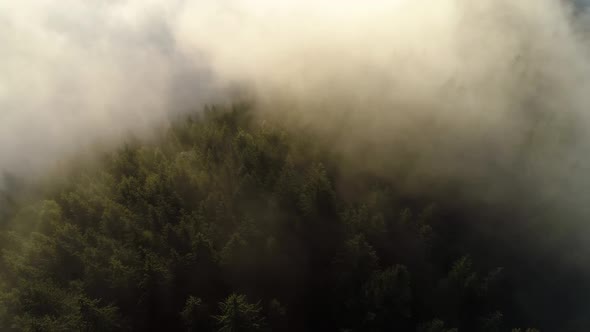 Flying Through the Clouds and Mist, Forest on Mountain. Beautiful Morning Sunrise Natural Landscape