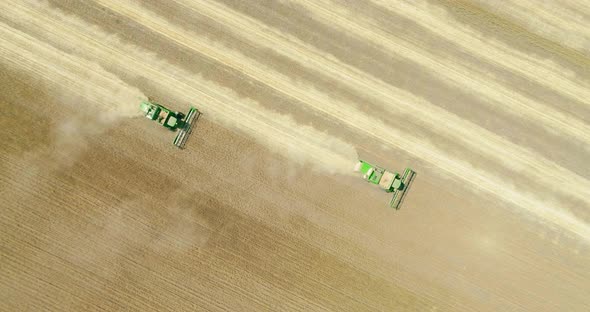 Two modern combine harvester working on the wheat crop. Aerial view.